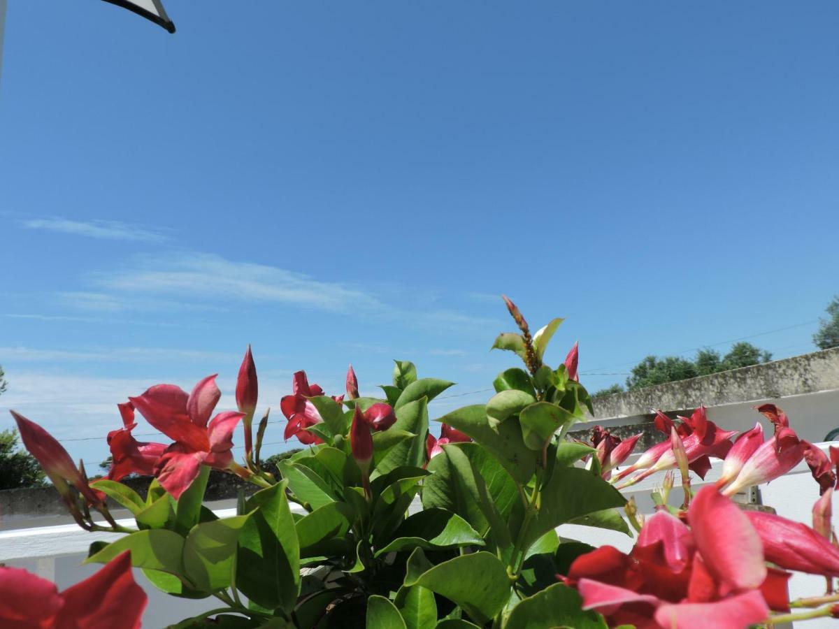 Sogno Mediterraneo Porto Cesareo Exterior foto